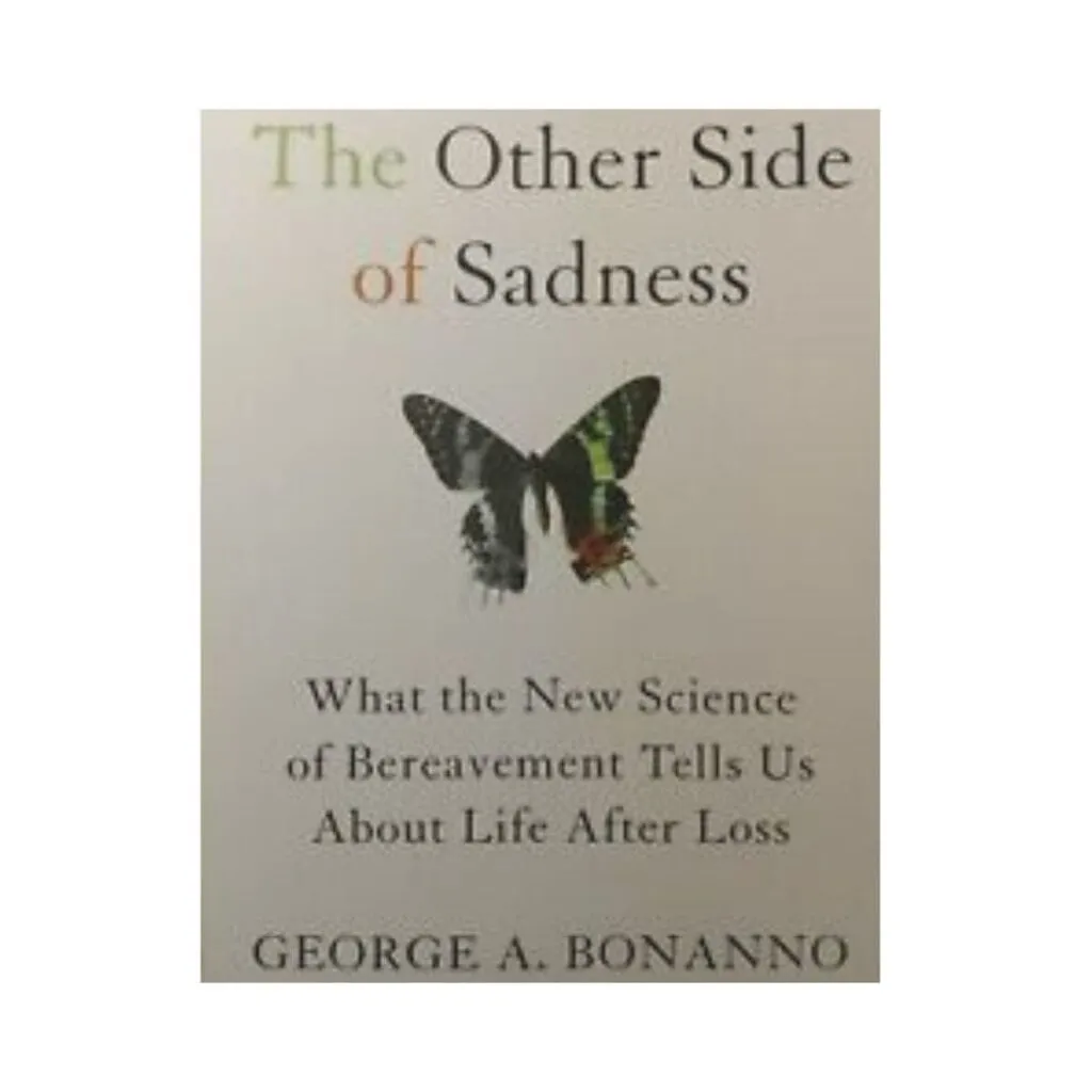 The other side of sadness PDF